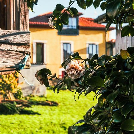 La Casona De Faedo Pension Hotel Bagian luar foto